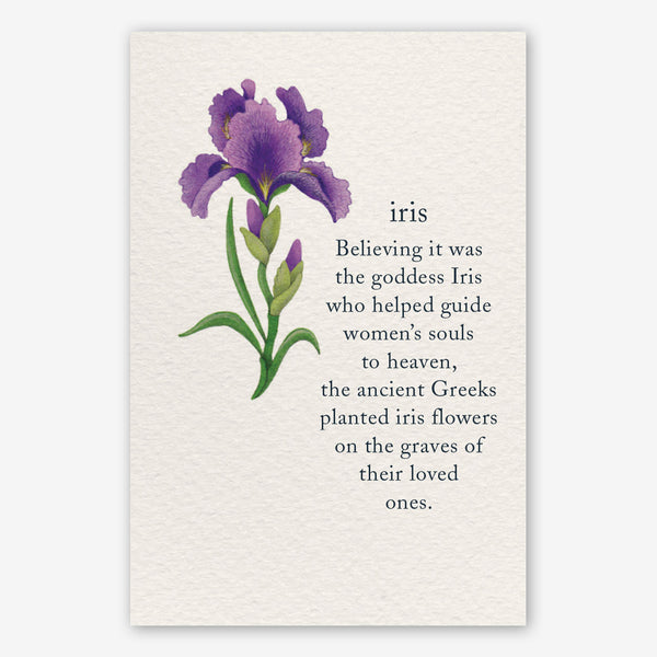 Cardthartic Condolence Card: Iris