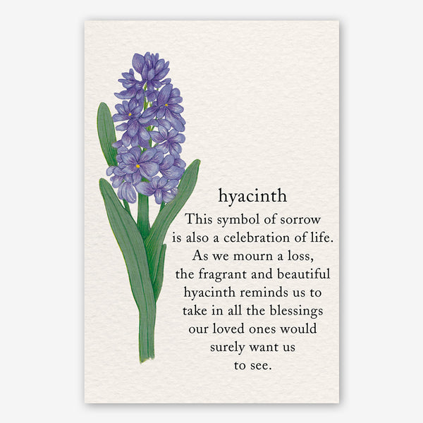 Cardthartic Condolence Card: Hyacinth