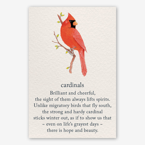 Cardthartic Friendship Card: Cardinals