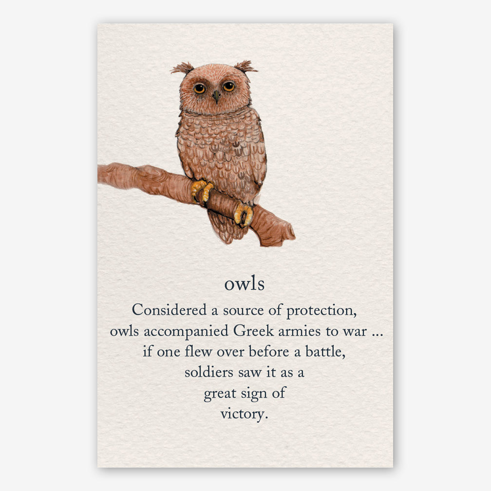 Cardthartic Get Well Card: Owls