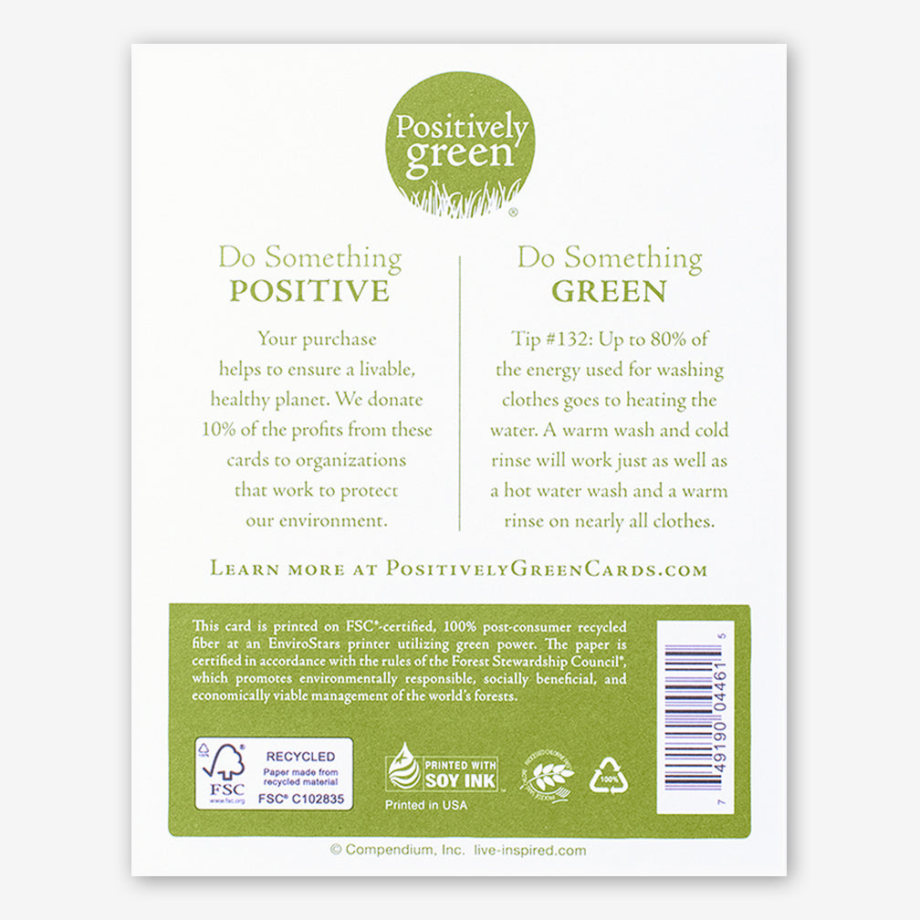Positively Green Baby Card: “There is a miracle in every new beginning.” —Hermann Hesse
