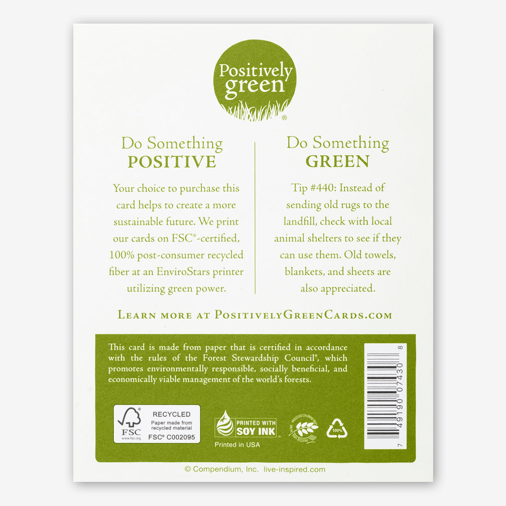 Positively Green Cards: “Life is a beautiful, magnificent thing...” —Charlie Chaplin