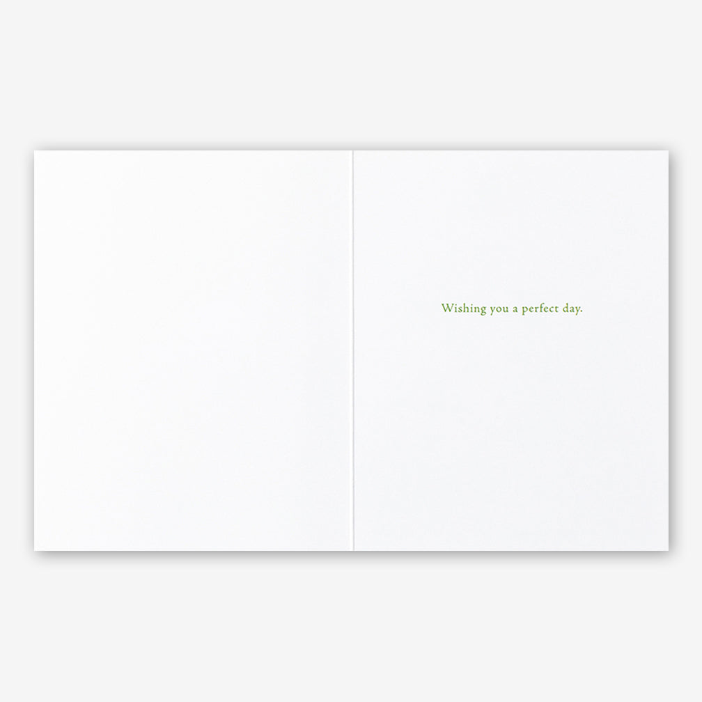 Positively Green Cards: “Find what brings you joy and go there.” —Jan Phillips