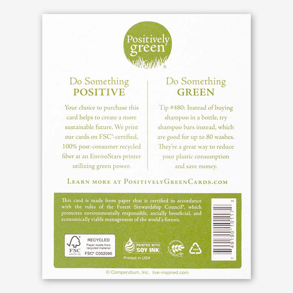 Positively Green Encouragement Card: “You are a wonderful creation.” —Oscar Wilde